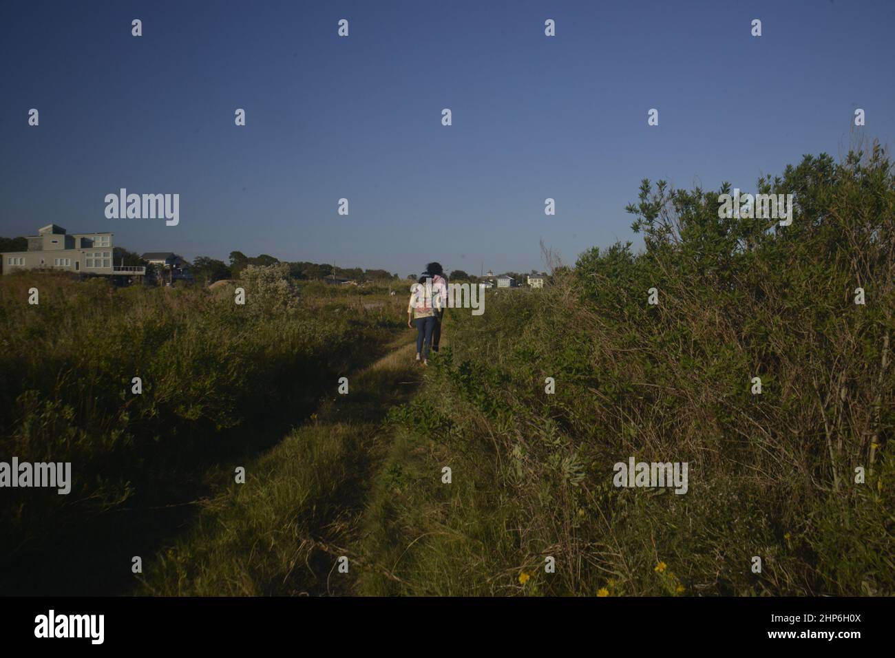 Texanische Küstenlandschaft zum Wandern in der Natur Stockfoto