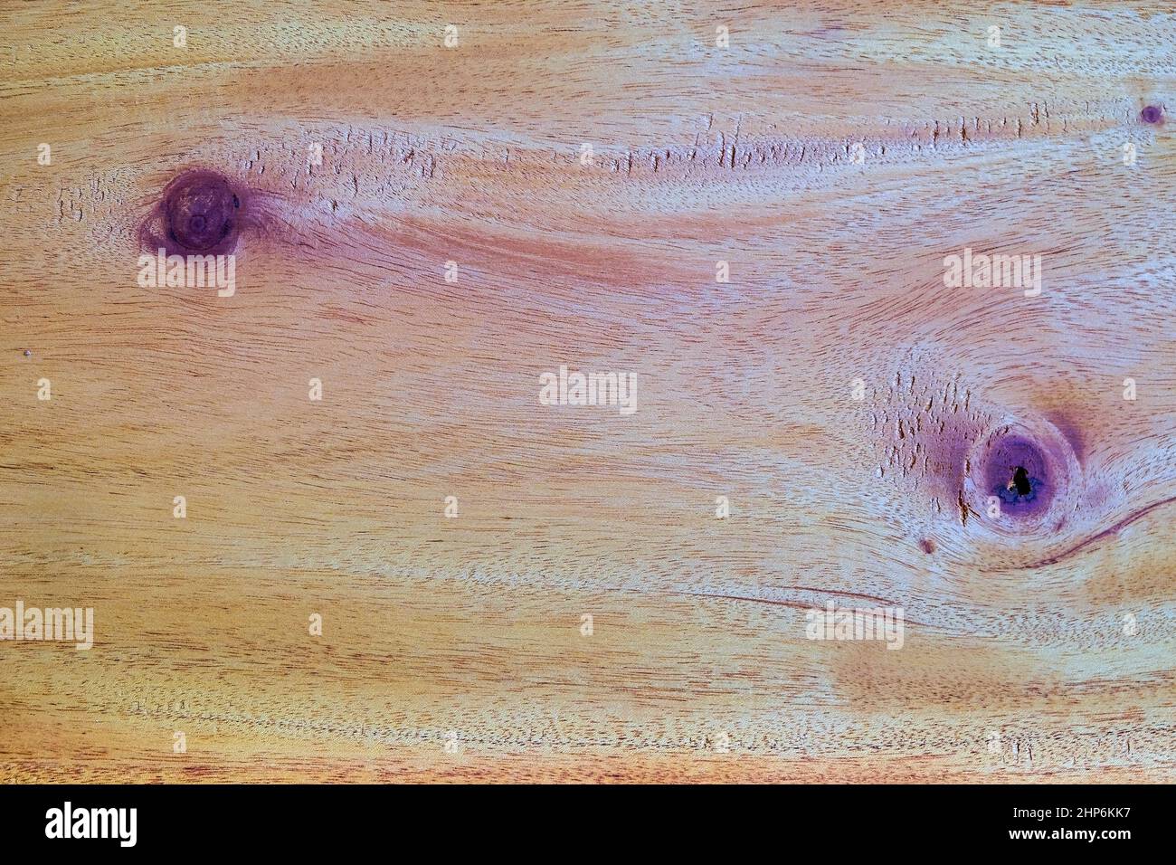 Nahaufnahme große Hartholz-Planke mit Detail, Textur und Muster der Haut Holz Natur Hintergrund Stockfoto