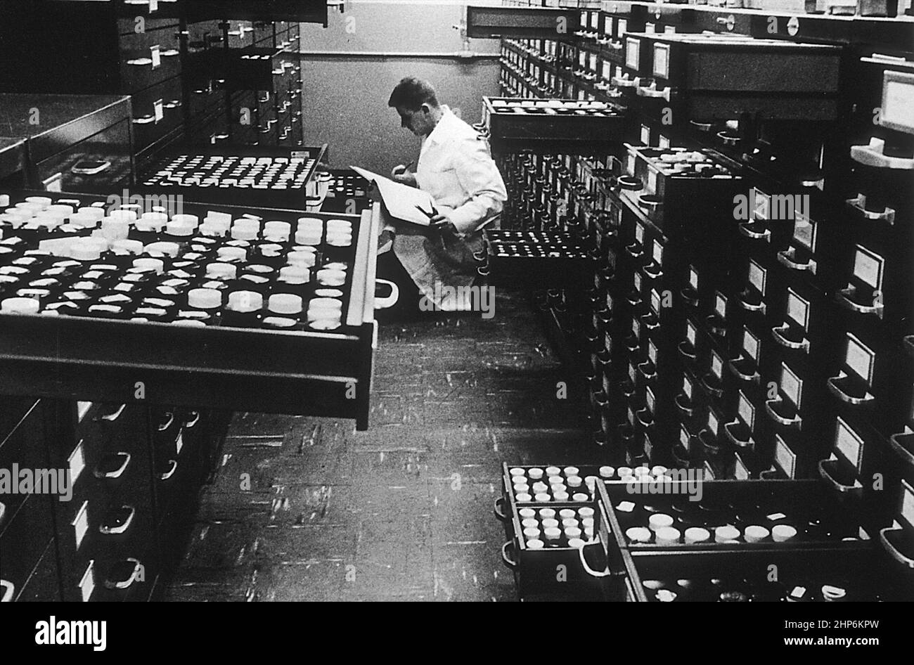 Ein männlicher Wissenschaftler, der in der chemischen Bibliothek für Krebsbekämpfung an den Lederle Laboratories, einer Abteilung von American Cyanamid, im Jahr 1961 ca. Juni 1961 Stockfoto