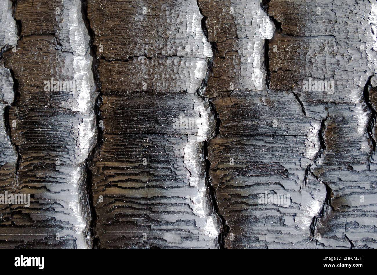Verbranntes Holz Textur ein nah, Nahaufnahme Stockfoto