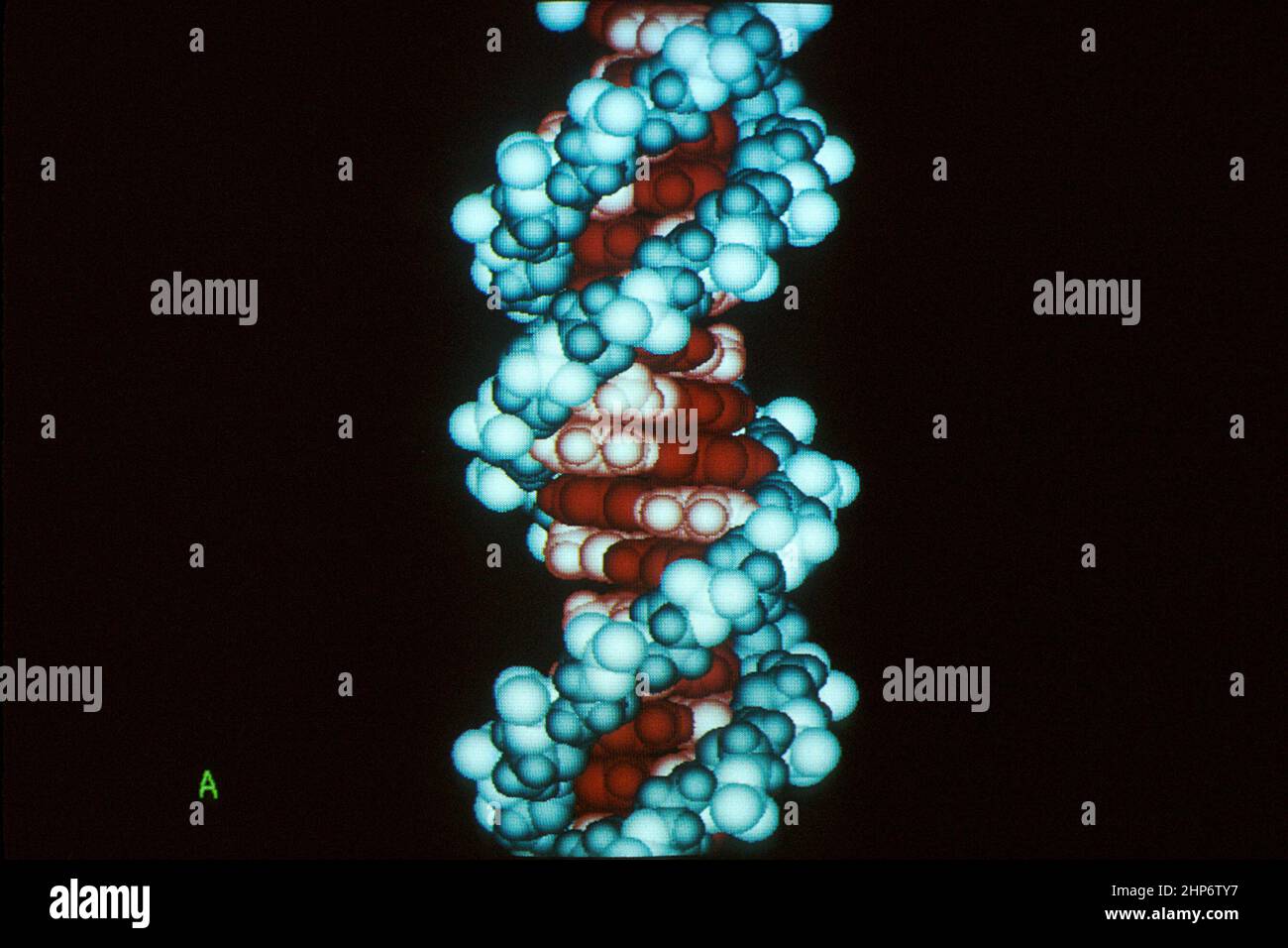 Ein DNA-Molekül. Computergrafikbilder werden mithilfe von Daten erstellt, die in einen Computer eingespeist werden. Diese Daten können aus chemischen Elementen und Gewichten für bestimmte Farben bestehen, die diese Gewichte und Maße darstellen. März 1982 Stockfoto