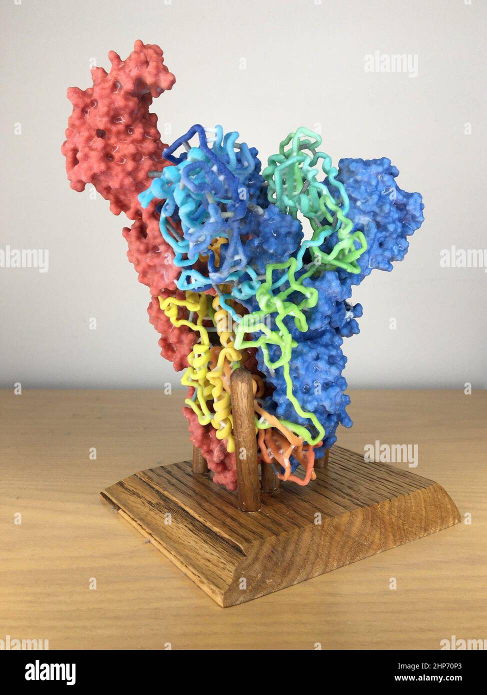 3D Druck einer Coronavirus-Spitze. Der Spike ist ein Protein auf der Coronavirus-Oberfläche, das dem Virus hilft, in Zellen einzudringen und sie zu infizieren. Ca. 2020 Stockfoto 3D Druck einer Coronavirus-Spitze. Der Spike ist ein Protein auf der Coronavirus-Oberfläche, das dem Virus hilft, in Zellen einzudringen und sie zu infizieren. Ca. 2020 Stockfoto