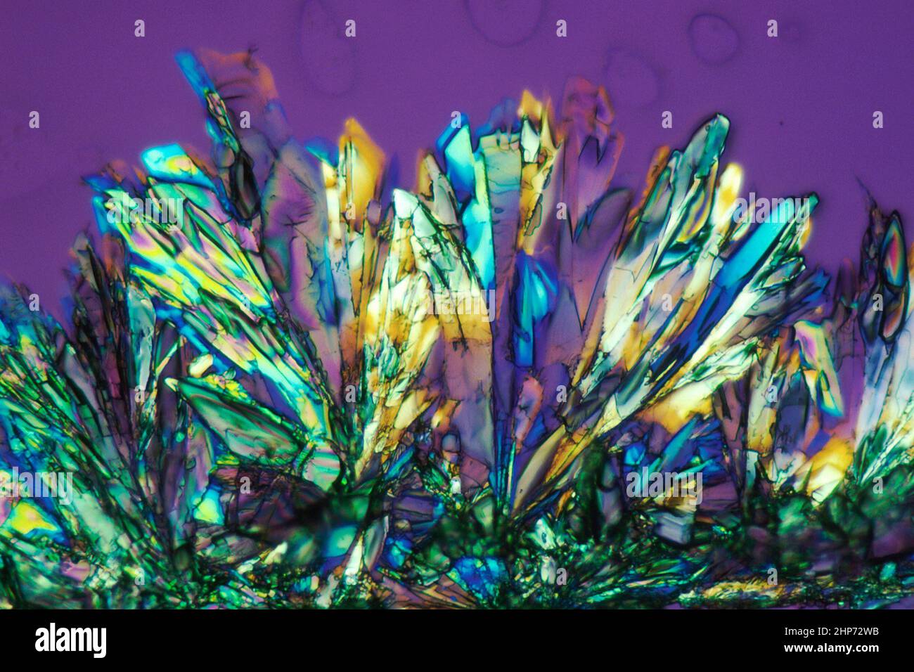 Photomikrographen des Medikaments AZT wurden bei Vergrößerungen von 30x und 50x aufgenommen. Verwendet, um die Kristalle zu beleuchten, wurden polare und Dunkelfeld-Lichttechniken verwendet. AZT soll helfen, die Vermehrung von HIV, dem AIDS-Virus, auch bekannt als HTLV-III Ca, zu verhindern. Dezember 1986 Stockfoto