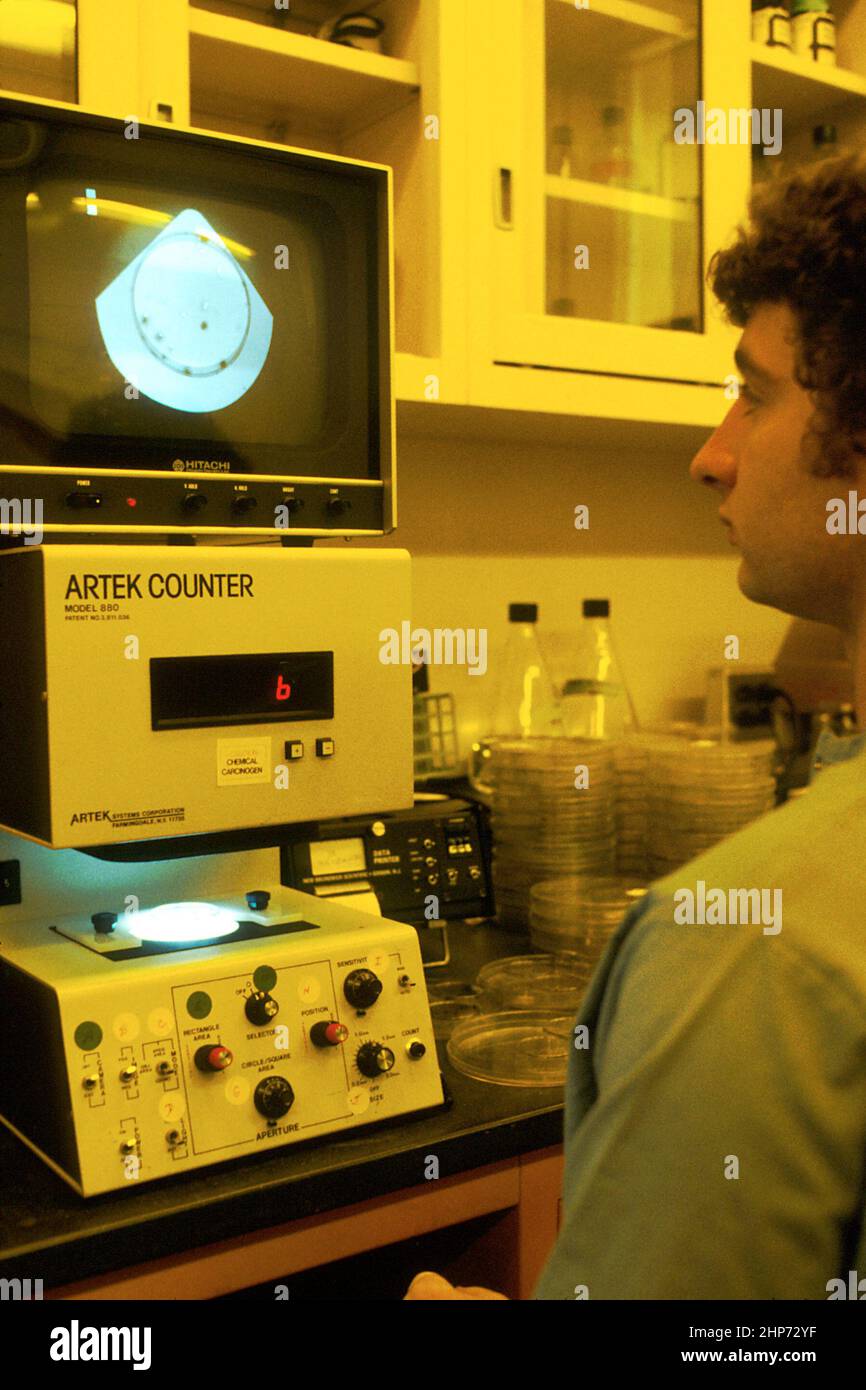 Abgebildet ist ein Forscher, der vor einem Szintillationszähler sitzt. Dieses Gerät misst die Radioaktivität, die in eine Zellkultur integriert ist. Der Forscher schaut auf den Bildschirm. Ca. 1980 Stockfoto