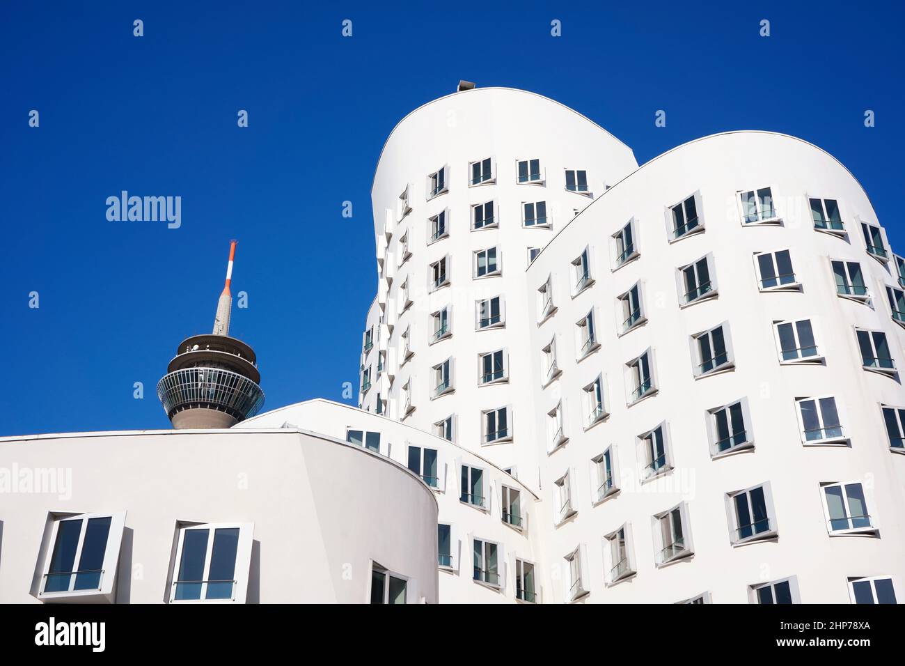 Weiße Gebäude des Stararchitekten Frank O. Gehry im Neuen Zollhof, Medienhafen, mit Rheinturm im Hintergrund. Stockfoto
