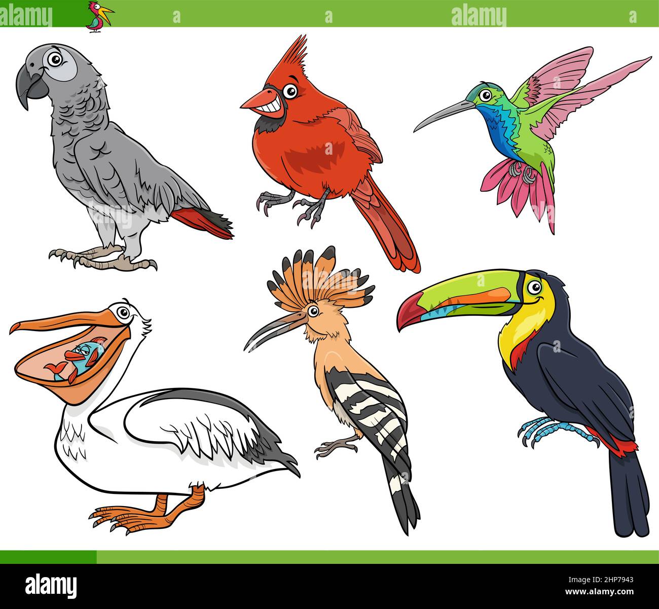 Cartoon Vögel Arten Tierfiguren gesetzt Stock Vektor