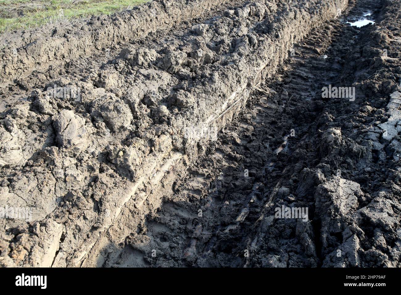 Der Traktor fährt auf nassem Untergrund. Beschädigte Felder, die von Landwirten angebaut werden Stockfoto