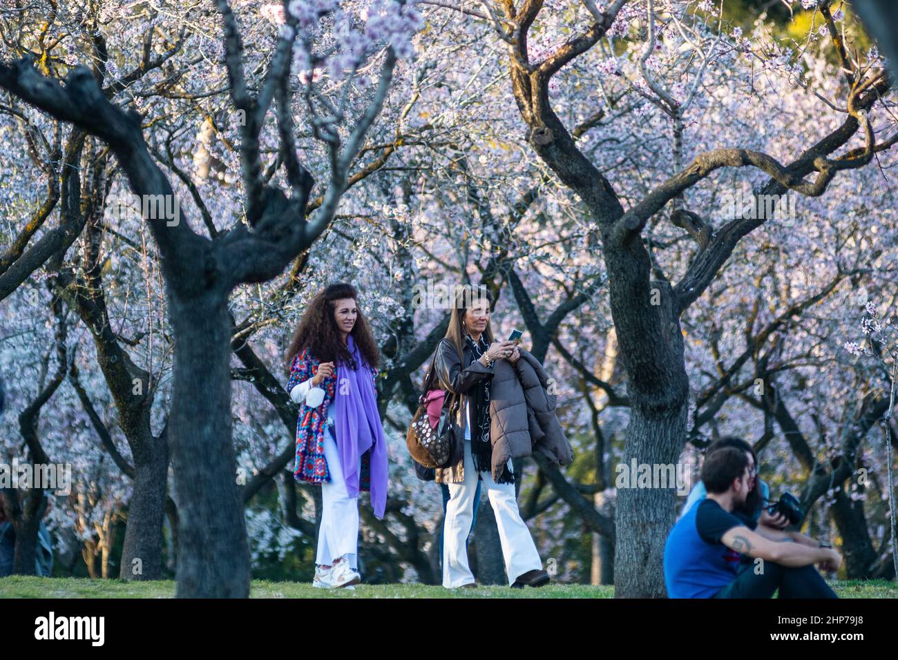 Madrid, Spanien. 18th. Februar 2022. Im Park Quinta de los Molinos genießen die Menschen ein warmes Wetter unter Mandelbäumen, die vor kurzem in Blüte stehen. Quelle: Marcos del Mazo/Alamy Live News Stockfoto