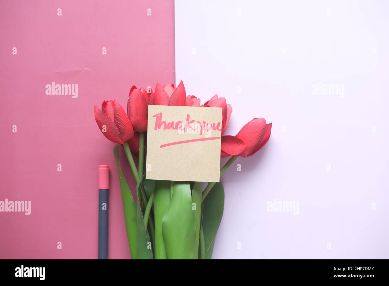 Danke Nachricht, e und Tulpe Blume auf farbigem Hintergrund Stockfoto