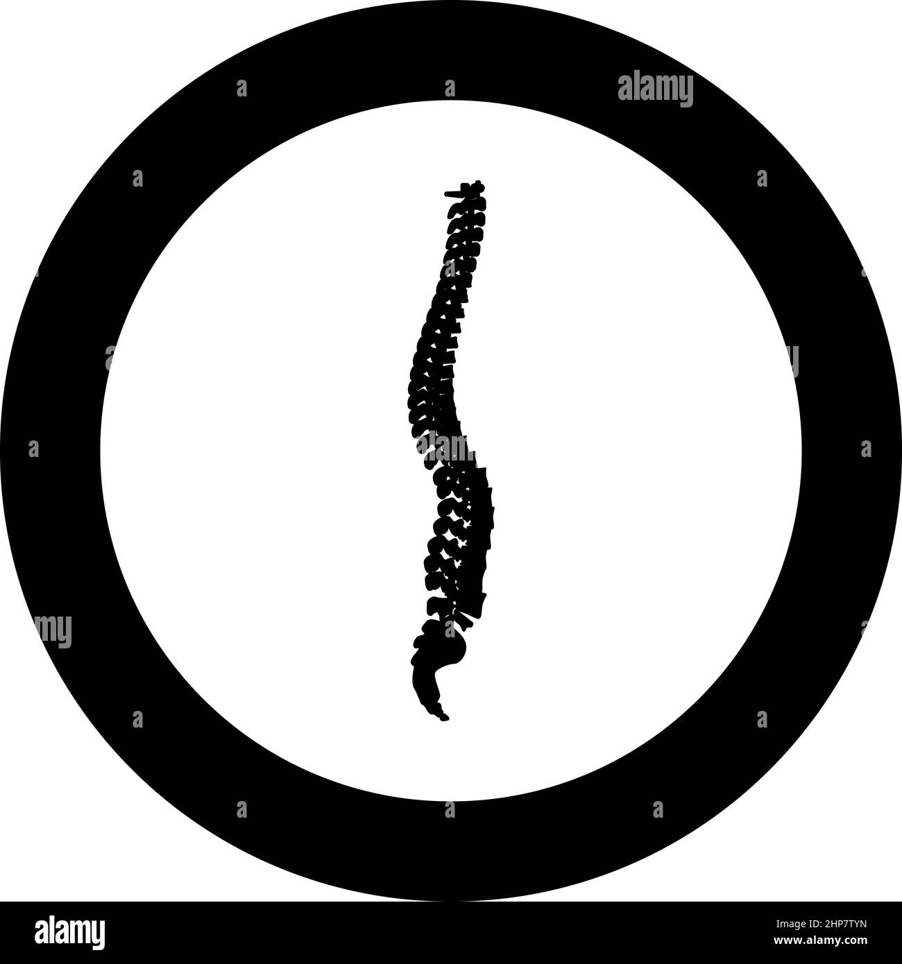 Wirbelsäule Wirbelsäule Wirbelsäule Symbol im Kreis rund schwarz Farbe Vektor Illustration Bild solide Kontur Stil Stock Vektor