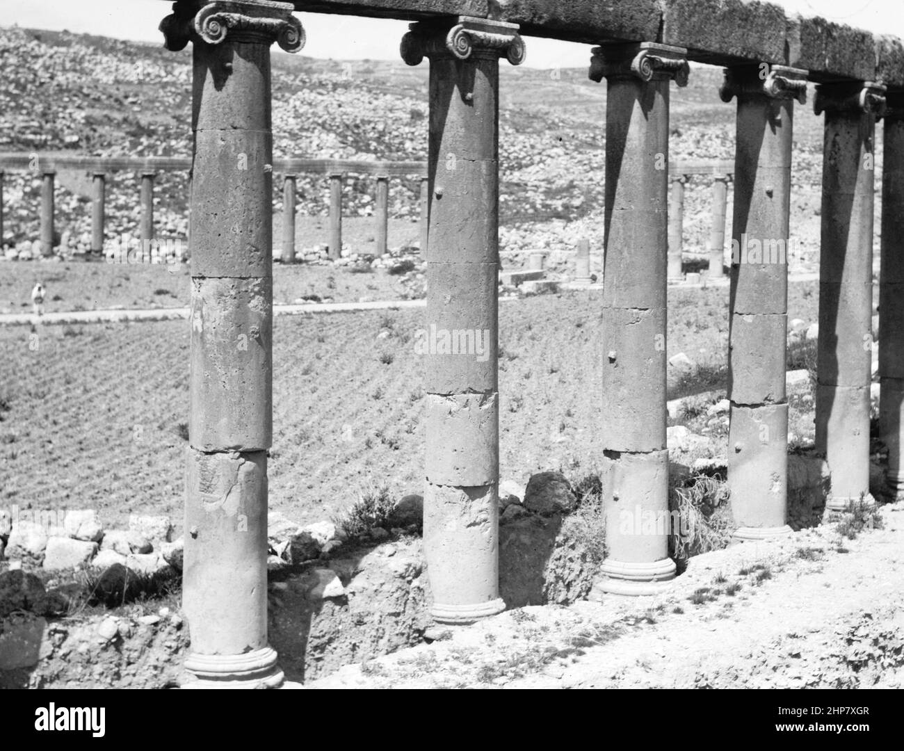 Geschichte des Nahen Ostens: Ruinen von Jerash (Gerasa). Das Jerash Forum. Ein Detail der Säulen und Hauptstädte Ort: Jordanien--Gerasa (ausgestorbene Stadt) ca. 1920 Stockfoto