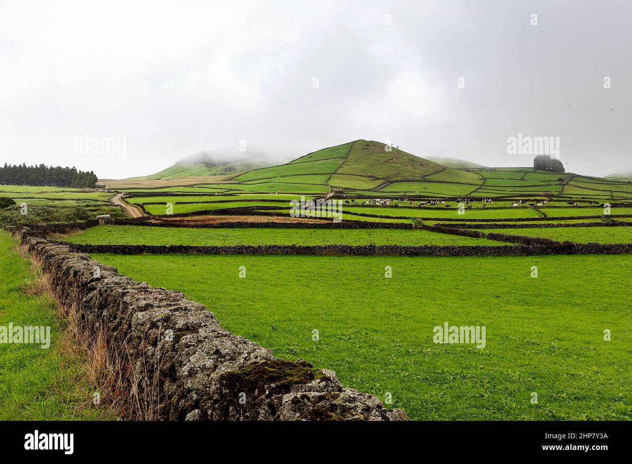 Felder und Steinmauer, Serra do Cume, Terceira Island, Azoren, Portugal Stockfoto