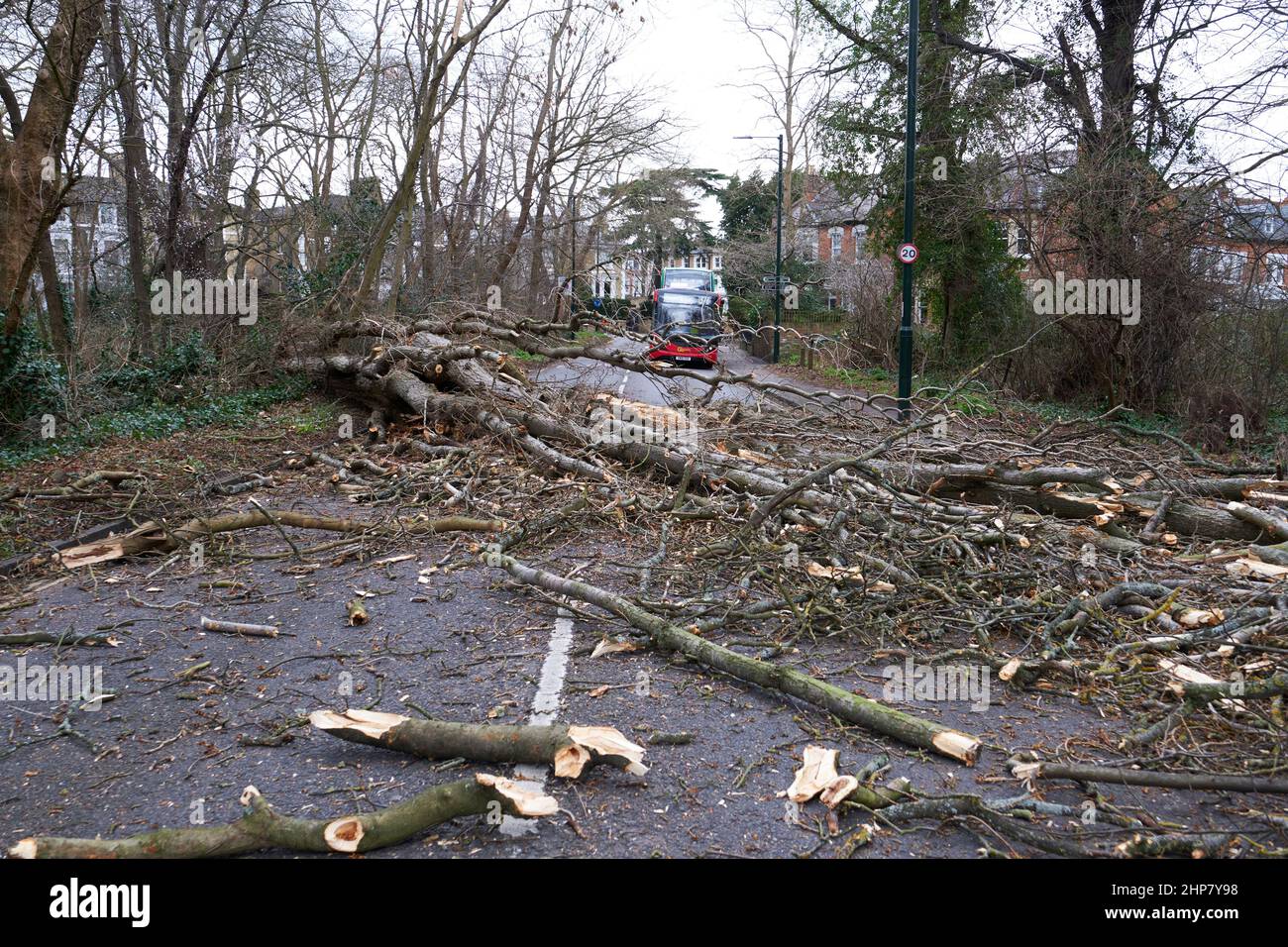Sturmschäden, entwurzelte Bäume und Verkehrsstörungen durch Sturm Eunice, Südwesten Londons, großbritannien Stockfoto
