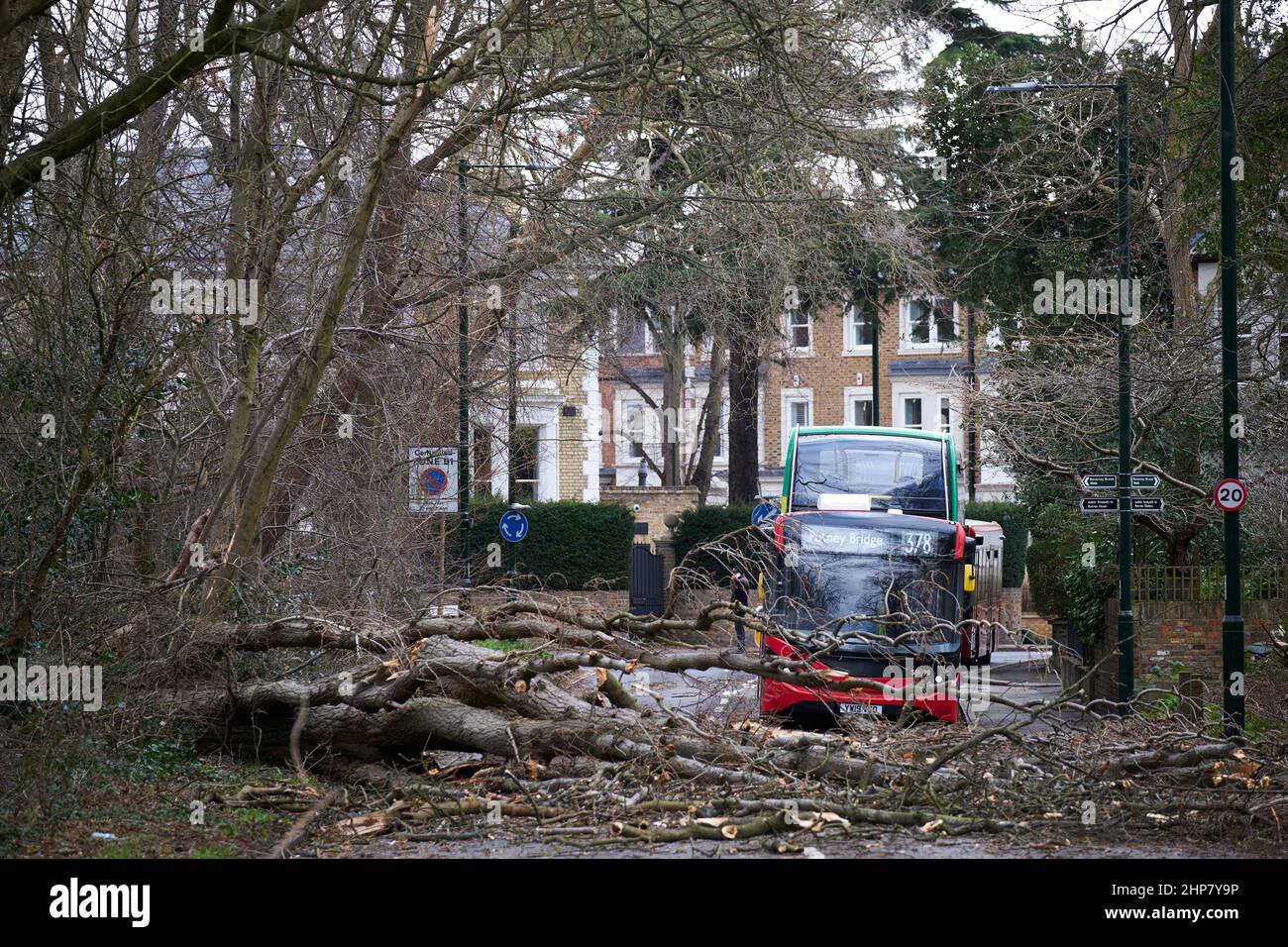 Sturmschäden, entwurzelte Bäume und Verkehrsstörungen durch Sturm Eunice, Südwesten Londons, großbritannien Stockfoto