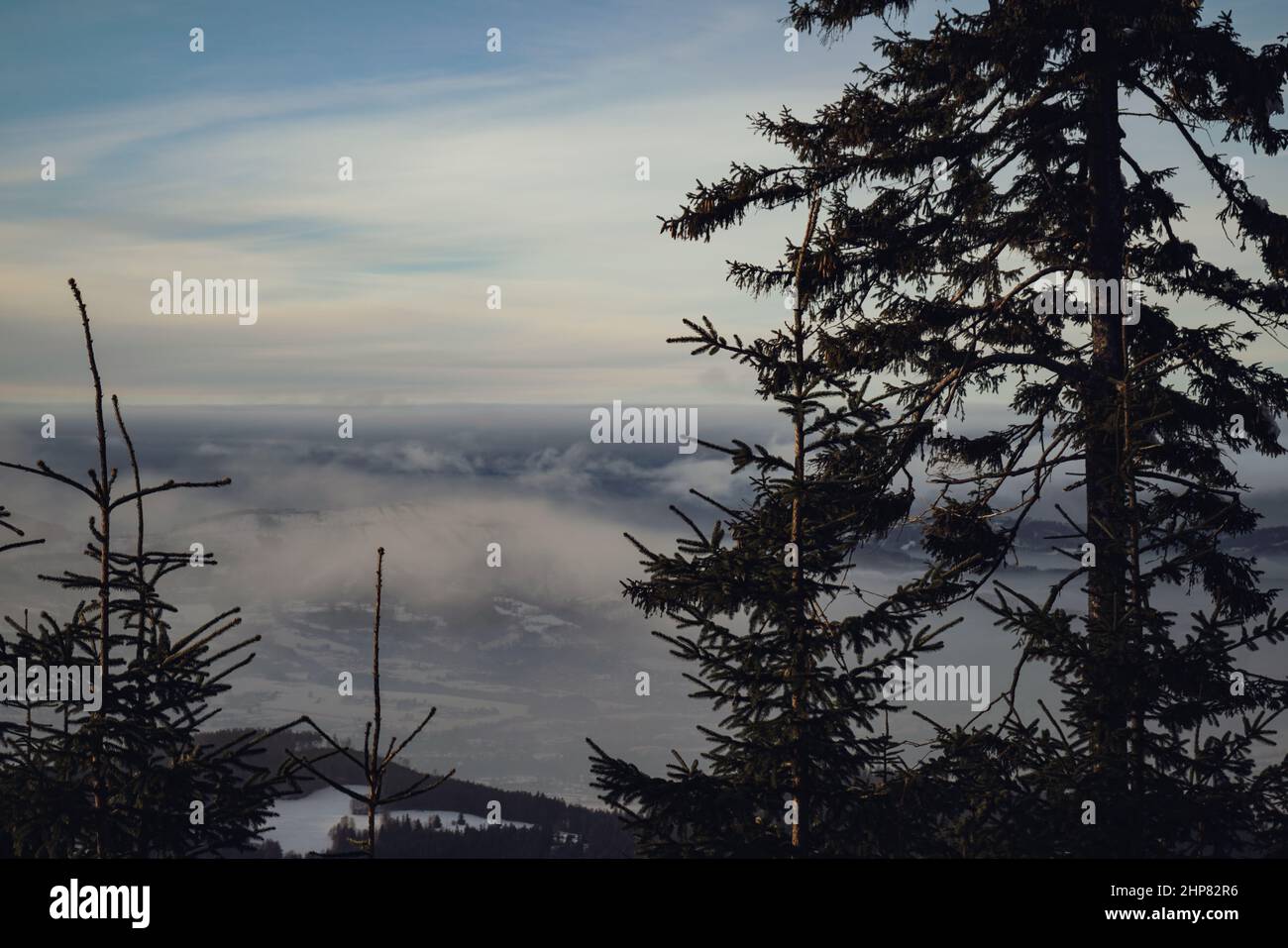 Blick auf das Wintertal mit Kiefernbaum Stockfoto