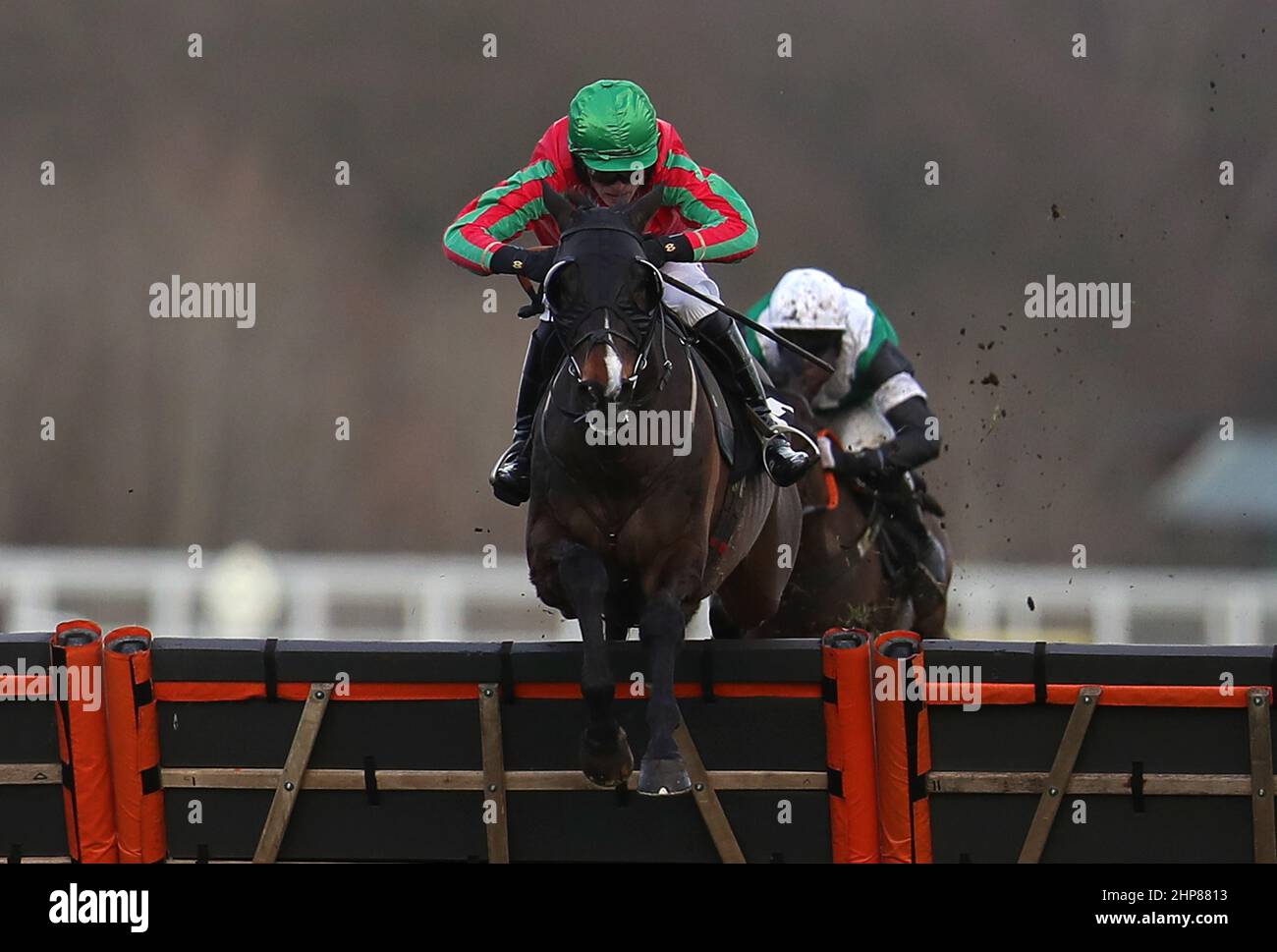 Guillemot, der von Harry Cobden geritten wurde, bevor er die Ascot Racecourse gewinnt, unterstützt die Hürde „Autism in Racing Handicap“ während des Betfair Ascot Chase Raceday auf der Ascot Racecourse, Bekshire. Bilddatum: Samstag, 19. Februar 2022. Stockfoto