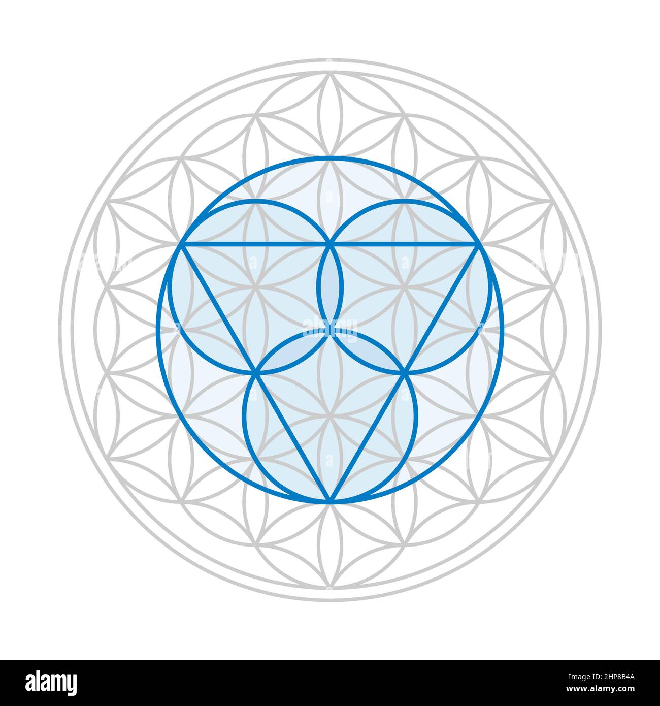 Blaues dreifaltigkeitssymbol, drei Kreise für den Vater, den Sohn Jesus Christus und den Heiligen Geist, über einer grauen Blume des Lebens, einer geometrischen Figur. Stockfoto