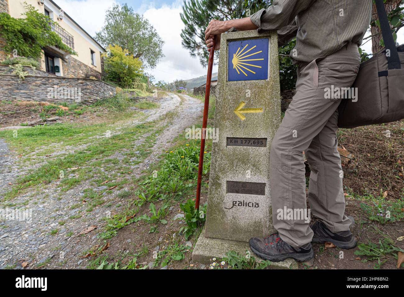 Camino de Santiago , Camino de Santiago , Muschelmarkierungen für Pilger zur Kathedrale von Compostela, Galizien, Spanien. Jakobsweg Stockfoto