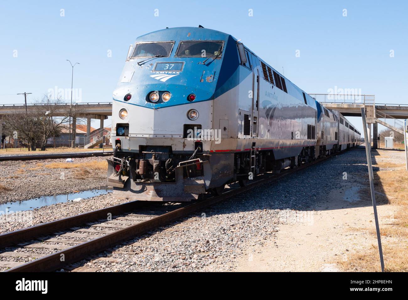 Taylor, Texas, USA - Passagierbahn Amtrak-Zug Texas Eagle Diesel-Lokomotive zieht mehrere Passagierbusse an, die am Passagierbahnhof ankommen Stockfoto