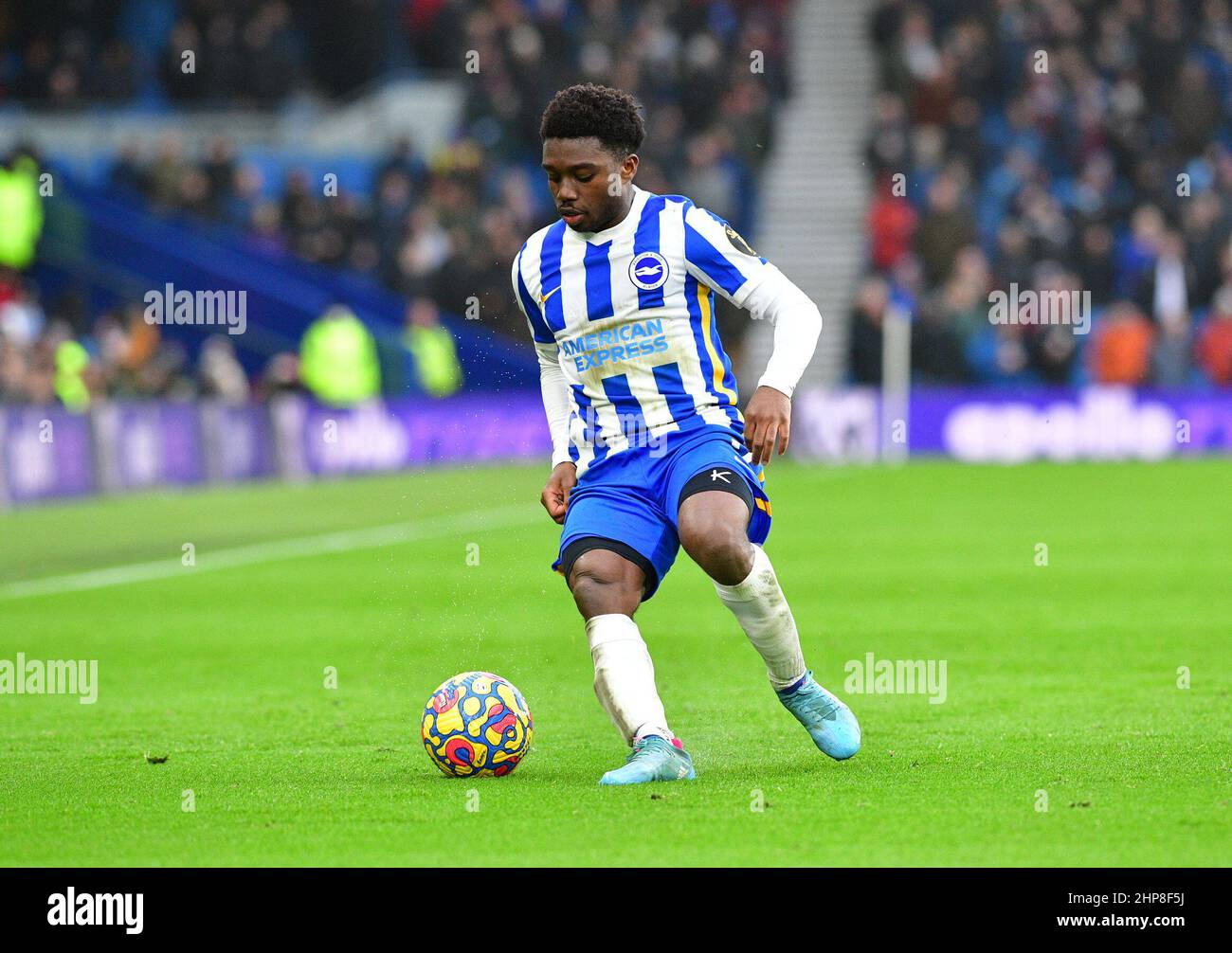 Brighton, Großbritannien. 19th. Februar 2022. Tariq Lamptey aus Brighton und Hove Albion während des Premier League-Spiels zwischen Brighton & Hove Albion und Burnley am 19th 2022. Februar beim Amex in Brighton, England. (Foto von Jeff Mood/phcimages.com) Quelle: PHC Images/Alamy Live News Stockfoto