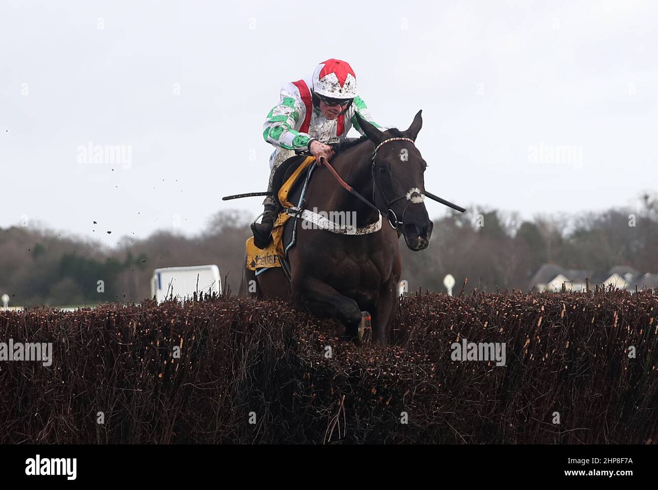 Mister Fisher, der während des Betfair Ascot Chase Raceday auf der Ascot Racecourse in Bekshire von James Bowen in der Betfair Ascot Chase gefahren wurde. Bilddatum: Samstag, 19. Februar 2022. Stockfoto