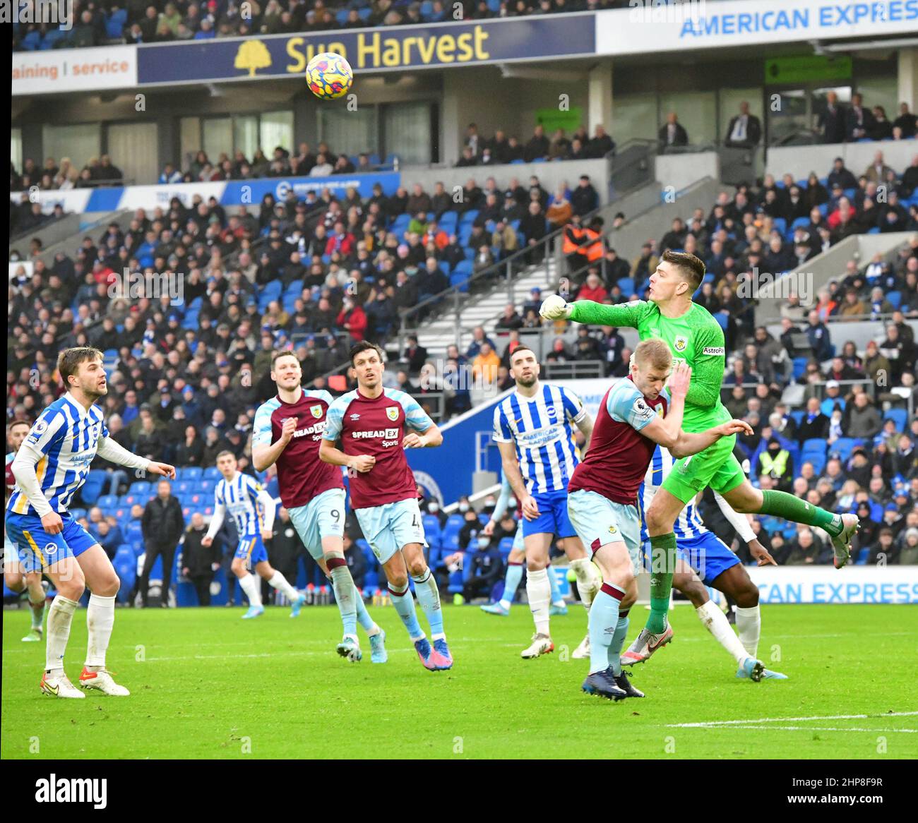 Brighton, Großbritannien. 19th. Februar 2022. Nick Pope Torhüter aus Burnley macht beim Premier League-Spiel zwischen Brighton & Hove Albion und Burnley am 19th 2022. Februar beim Amex in Brighton, England, einen Lochabstand. (Foto von Jeff Mood/phcimages.com) Quelle: PHC Images/Alamy Live News Stockfoto