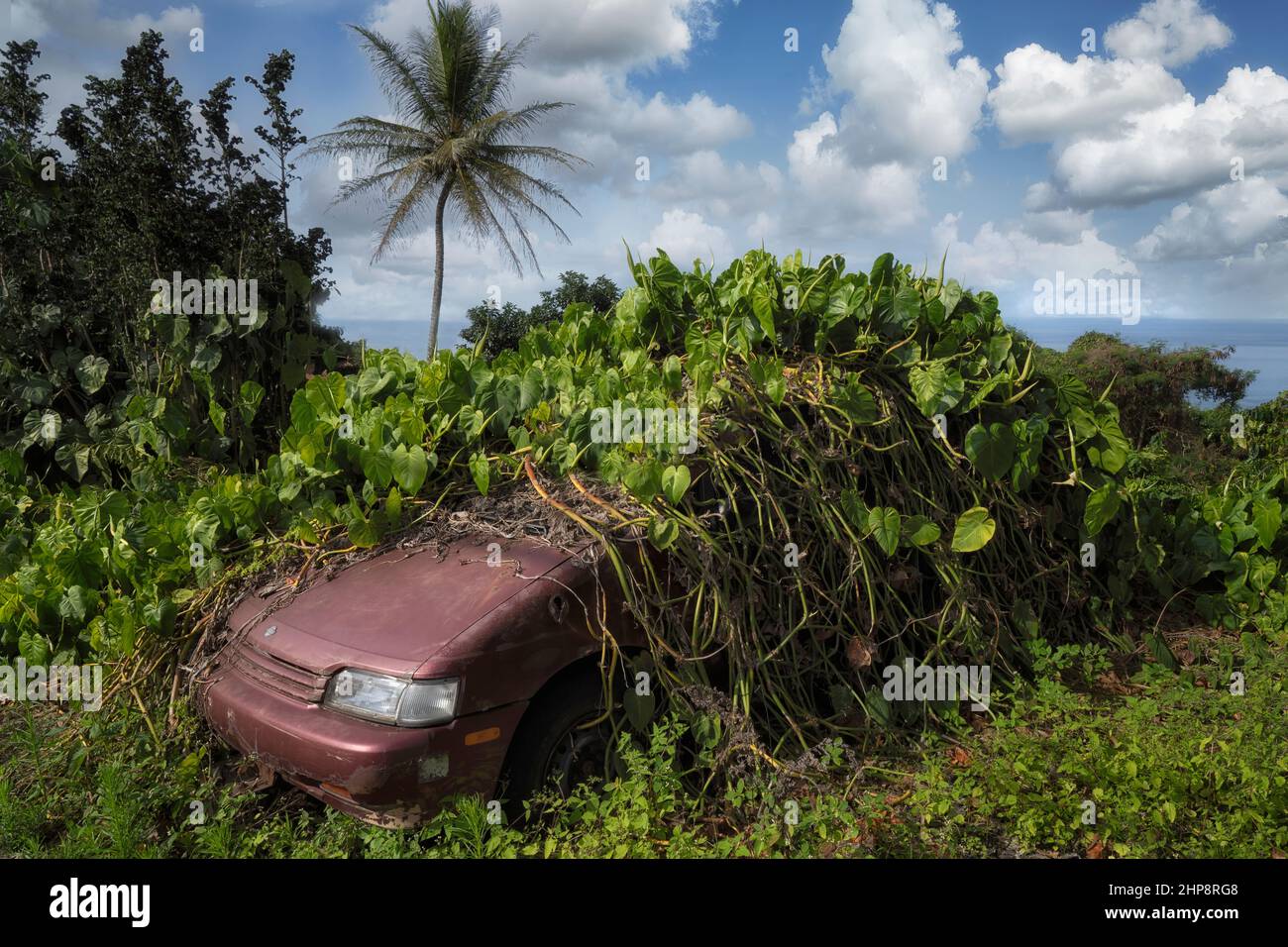 Bandoned Auto mit überwucherter Vegetation. Hawaii, Die Große Insel Stockfoto