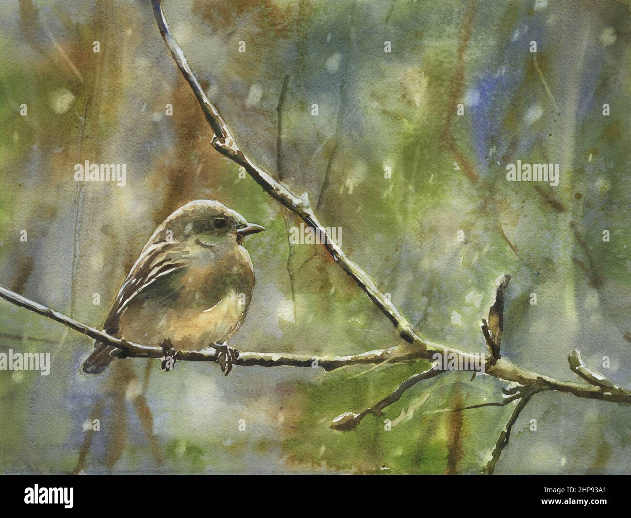 Vogel sitzt auf Zweig Kunst Aquarell Malerei. Wildtiere malen Vogel auf Zweig Kunstwerk Stockfoto