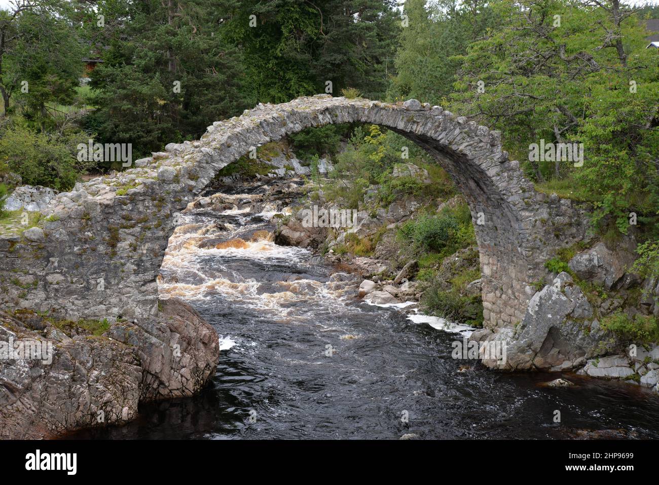 Old Packhorse Bridge, Carrbridge, Schottland Stockfoto