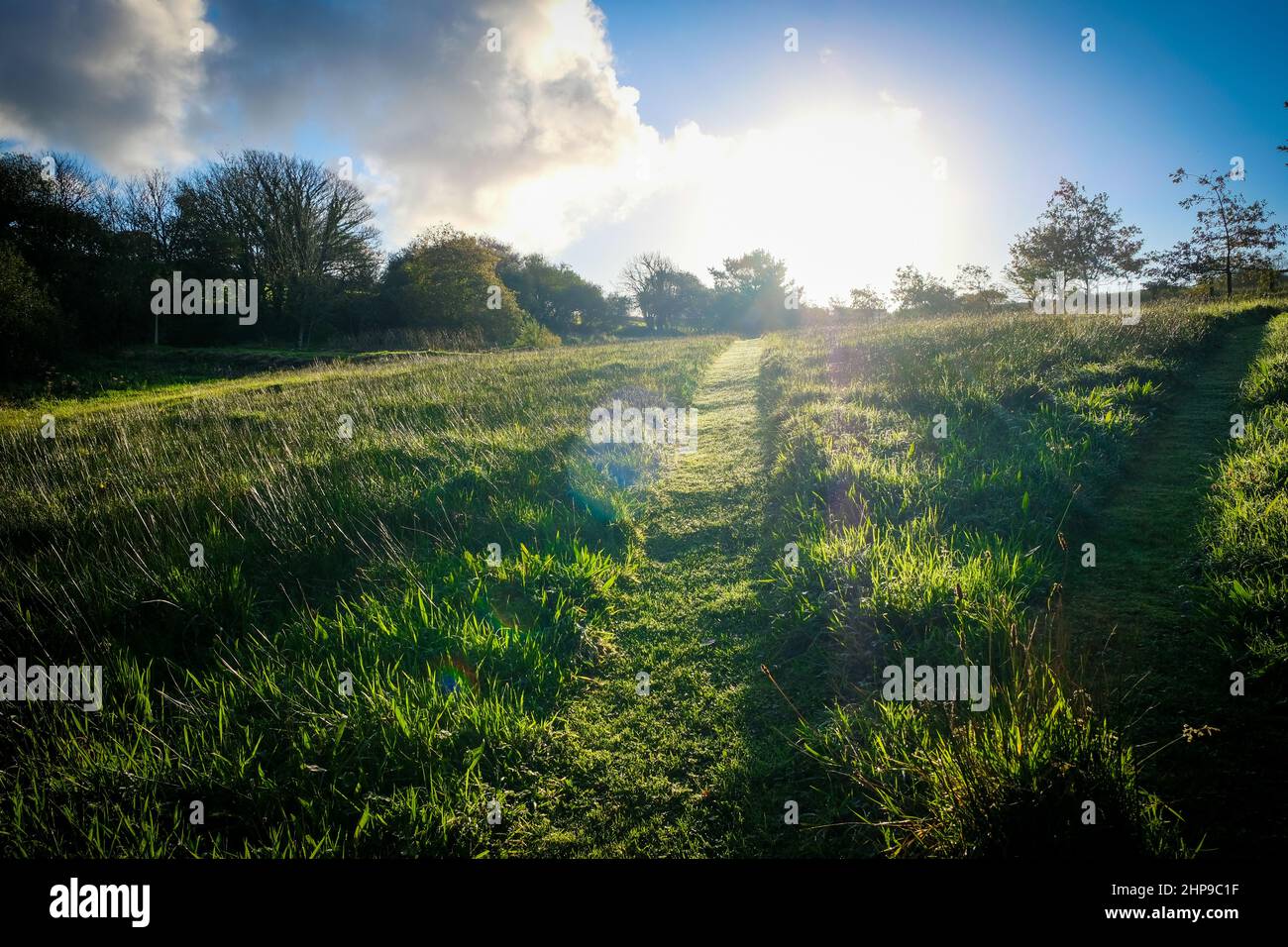 Ein Sommertag mit Sonnenstrahlen auf einem grünen, grasbewachsenen Hügel Stockfoto
