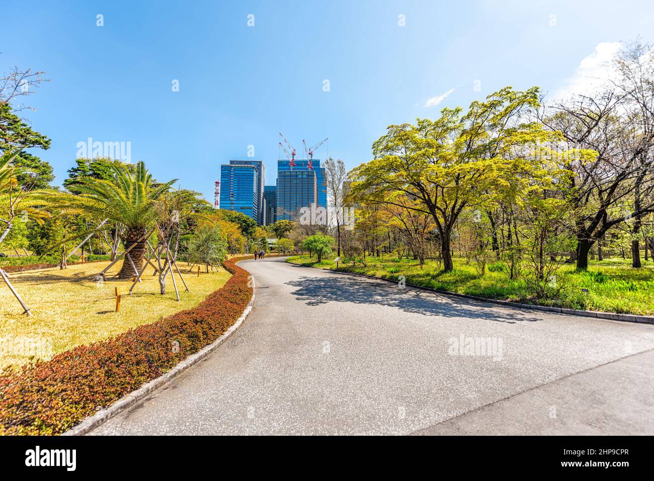 Tokyo, Japan National Gardens Park Road mit Wolkenkratzern Blick auf die Stadt auf Pfad auf Imperial Palace Gelände während sonnigen Frühlingstag in der Innenstadt von Chiyoda Stockfoto