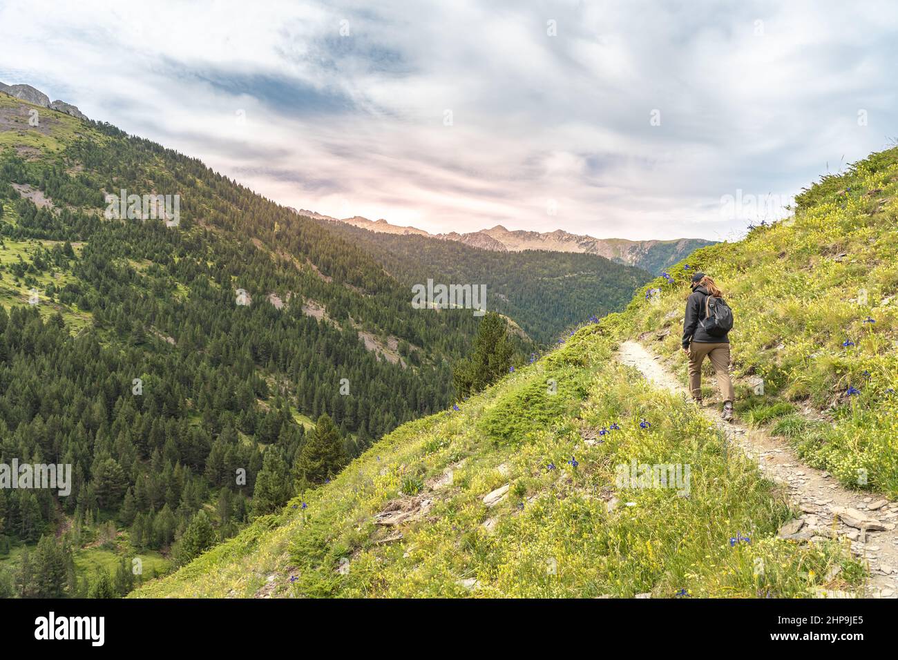 Junge Frau mit Rucksack klettert gegen den Sonnenuntergang auf den Gipfel des Berges. Discovery Travel Destination Konzept Stockfoto