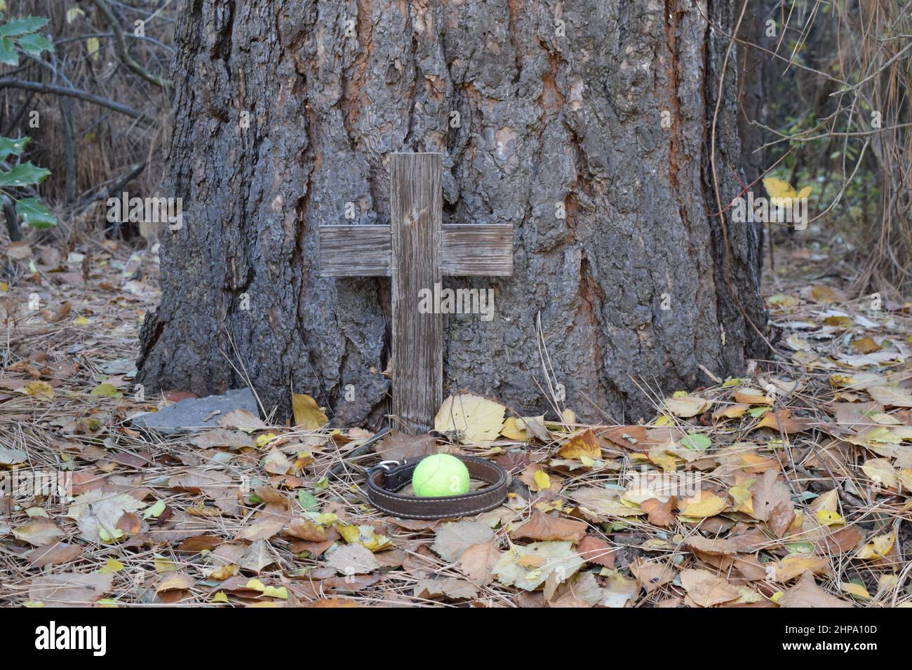 Grabstätte eines geliebten Hundes mit Holzkreuz, Lederkragen und bevorzugter gelber Kugel. Stockfoto