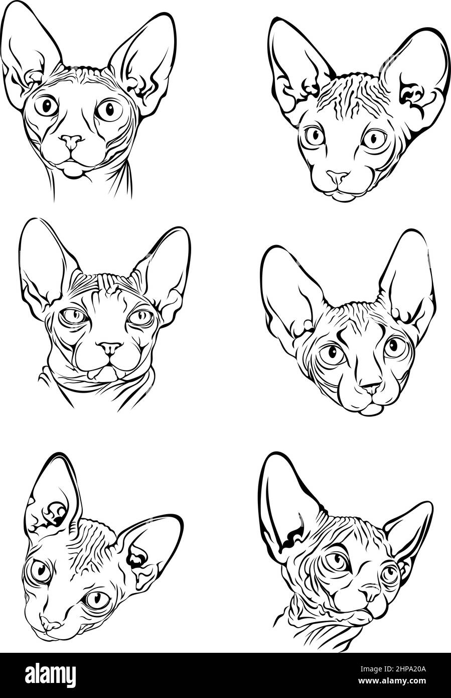 Bild einer Katze, Sphynx-Katze, Porträt, Illustration, Set, Weiß, schwarz, isoliert, einfach, Symbol, Kunst, Symbol, Grafik, Zeichnung Stock Vektor