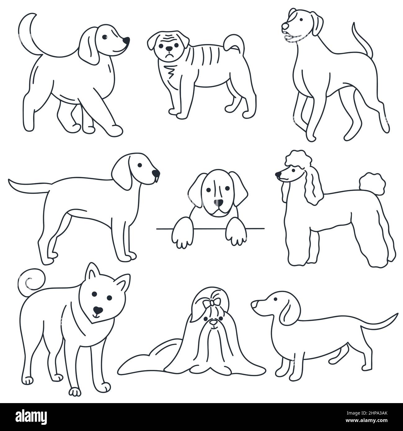 Hunde-Doodle-Set. Handgezeichnete Kollektion für Haustiere. Skizzieren Zeichnung Tiere isoliert Vektor Illustration Stock Vektor