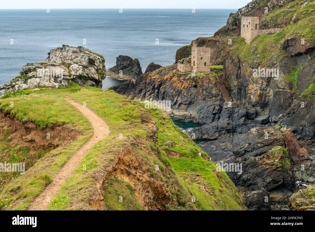 Blick von einer mit Blumen bedeckten Klippe, UNESCO-Weltkulturerbe, an einem ruhigen Sommertag an der dramatischen Küste Nordkorniens, einem beliebten Urlaub des National Trust Stockfoto