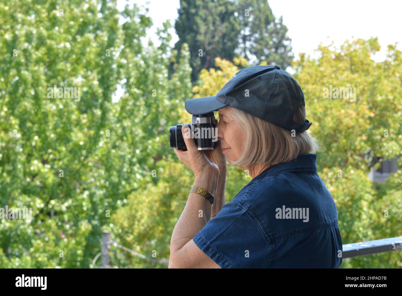 Eine ältere Fotografin, die eine 35mm-Spiegelreflexkamera auf Augenhöhe verwendet. Blaues Kleid und Mütze vor einem weichen Hintergrund von Bäumen Stockfoto