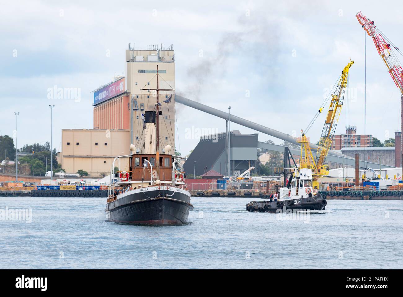 Der kohlebefeuerte Dampfschlepper Waratah aus dem Jahr 1902 macht seinen Weg von seiner Heimat mit der Sydney Heritage Fleet in Roselle Bay nach Pyrmont im Hafen von Sydney Stockfoto