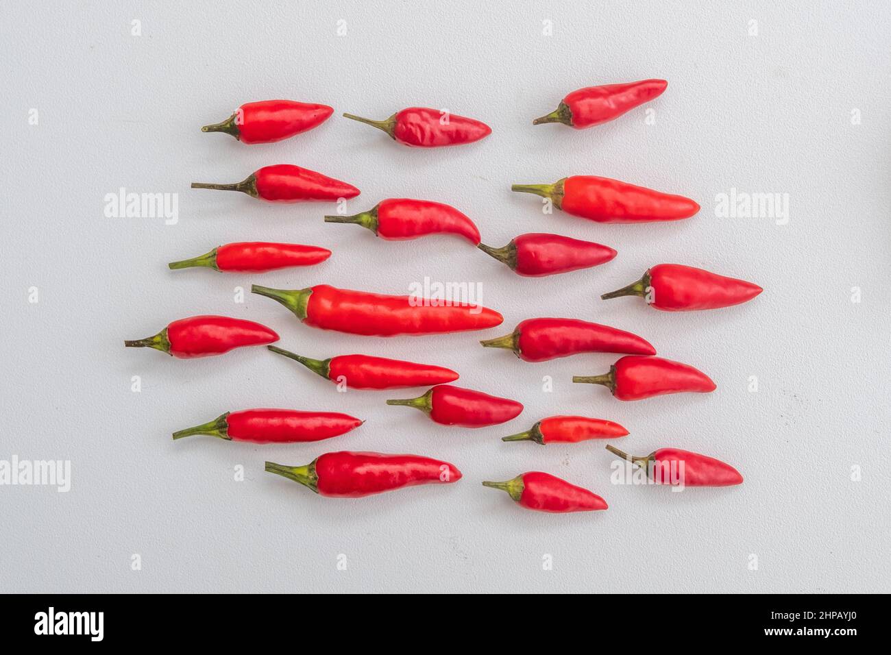 Rote Chilis auf weißem Hintergrund. Chilischoten sind auch als chile, chilischote, Chilischote oder Chili bekannt. Der botanische Name ist Capsicum. Stockfoto