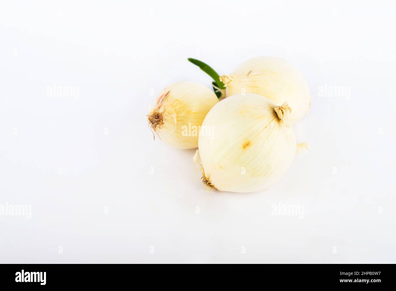 Drei weiße Zwiebeln auf weißem Hintergrund. Stockfoto