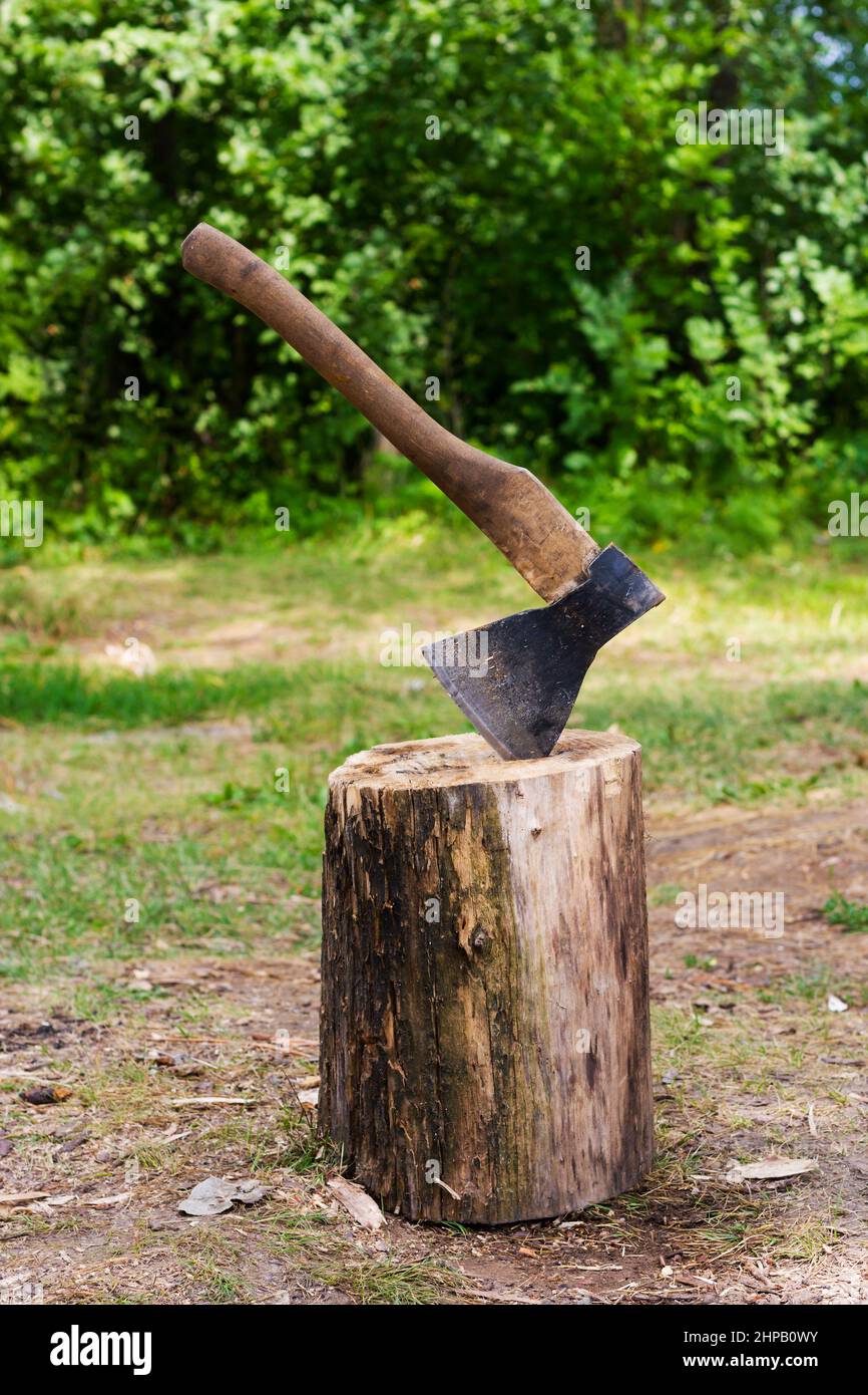 Altes Beil in einem Baumstamm im Wald Stockfoto