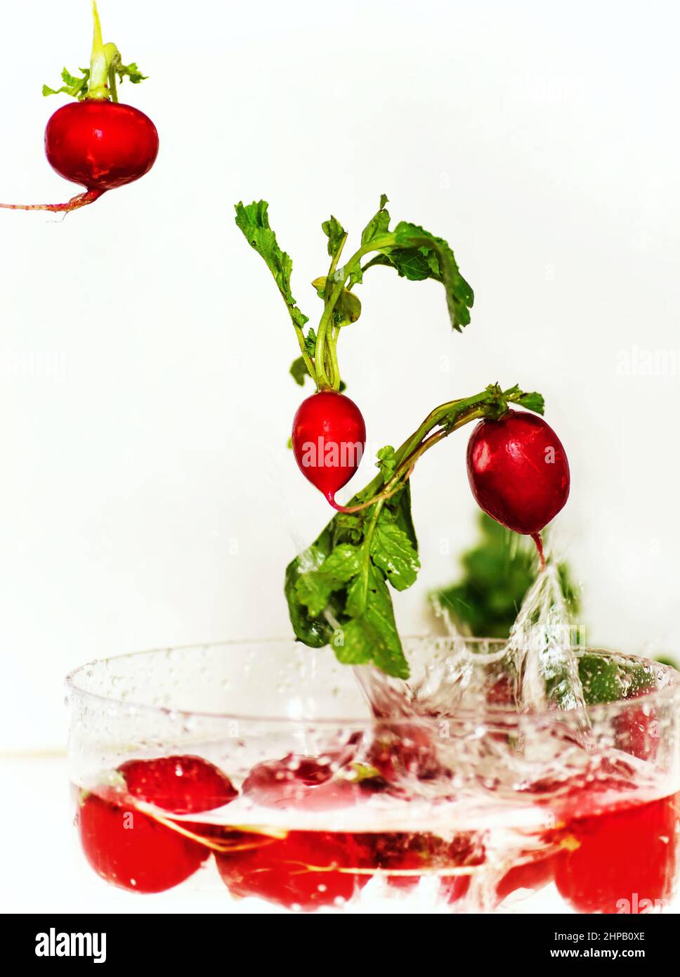 Drei Radieschen mit Blättern, die mit Wasser in eine Schüssel fallen, und Radieschen, mit Wasser besprüht, auf weißem Hintergrund. Stockfoto