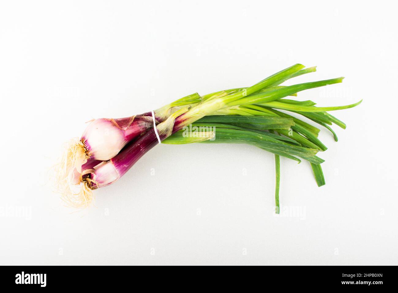 Bund von Bio-Qualität Frühlingszwiebeln mit Wurzeln, Triebe und Obst auf weißem Hintergrund. Stockfoto