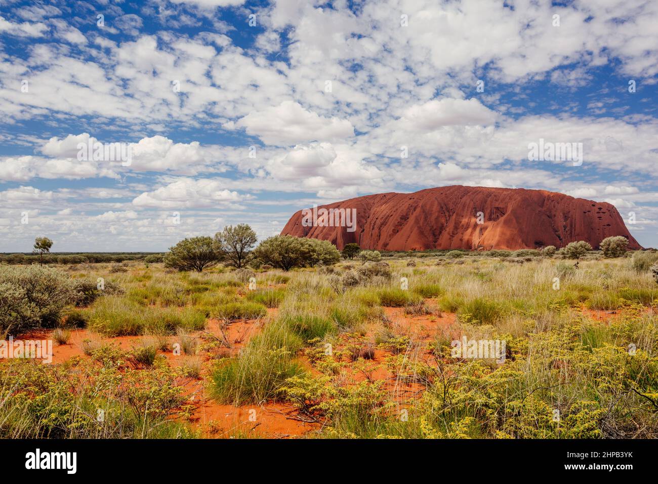 Australien, 22. September 2016: Frühling im Uluru, Northern Territory Stockfoto