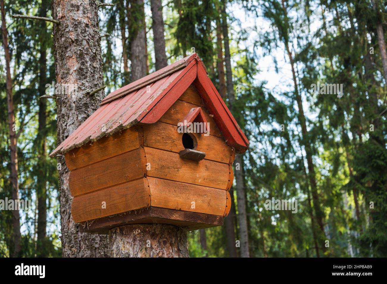 Ein Vogelhaus auf einem Baum, ein Eichhörnchen-Haus, ein hölzernes Vogelhaus aus kleinen Baumstämmen. Handgefertigt. Rette die Tiere. Stockfoto