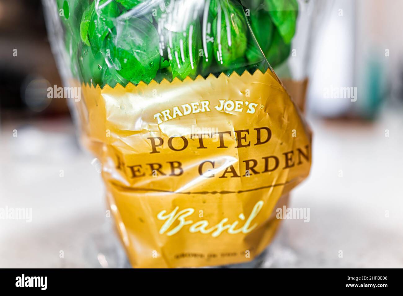 Naples, USA - 21. Oktober 2021: Sign Label für Trader Joe's Potted Herb Garden Makro-Nahaufnahme von grünen süßen Basilikum-Pflanze in Kunststoff für den Anbau von Lebensmitteln sp Stockfoto