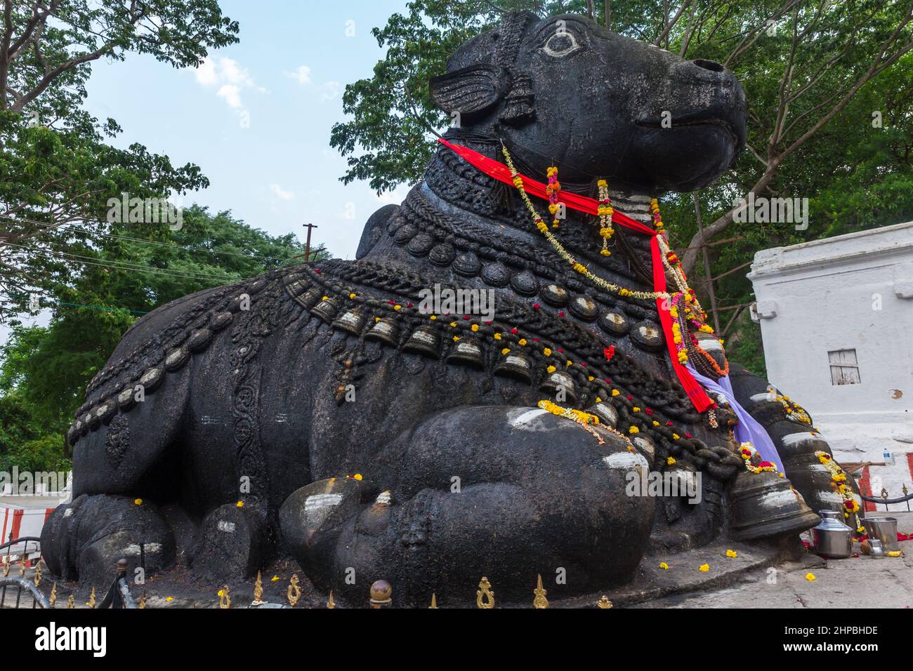 350 Jahre alte monolithische Statue von Nandi (Stier), Chamundi Hill, Mysore, Indien. Südindischer Tempel, hinduistischer religiöser Ort. Mysore Maharaja. Stockfoto