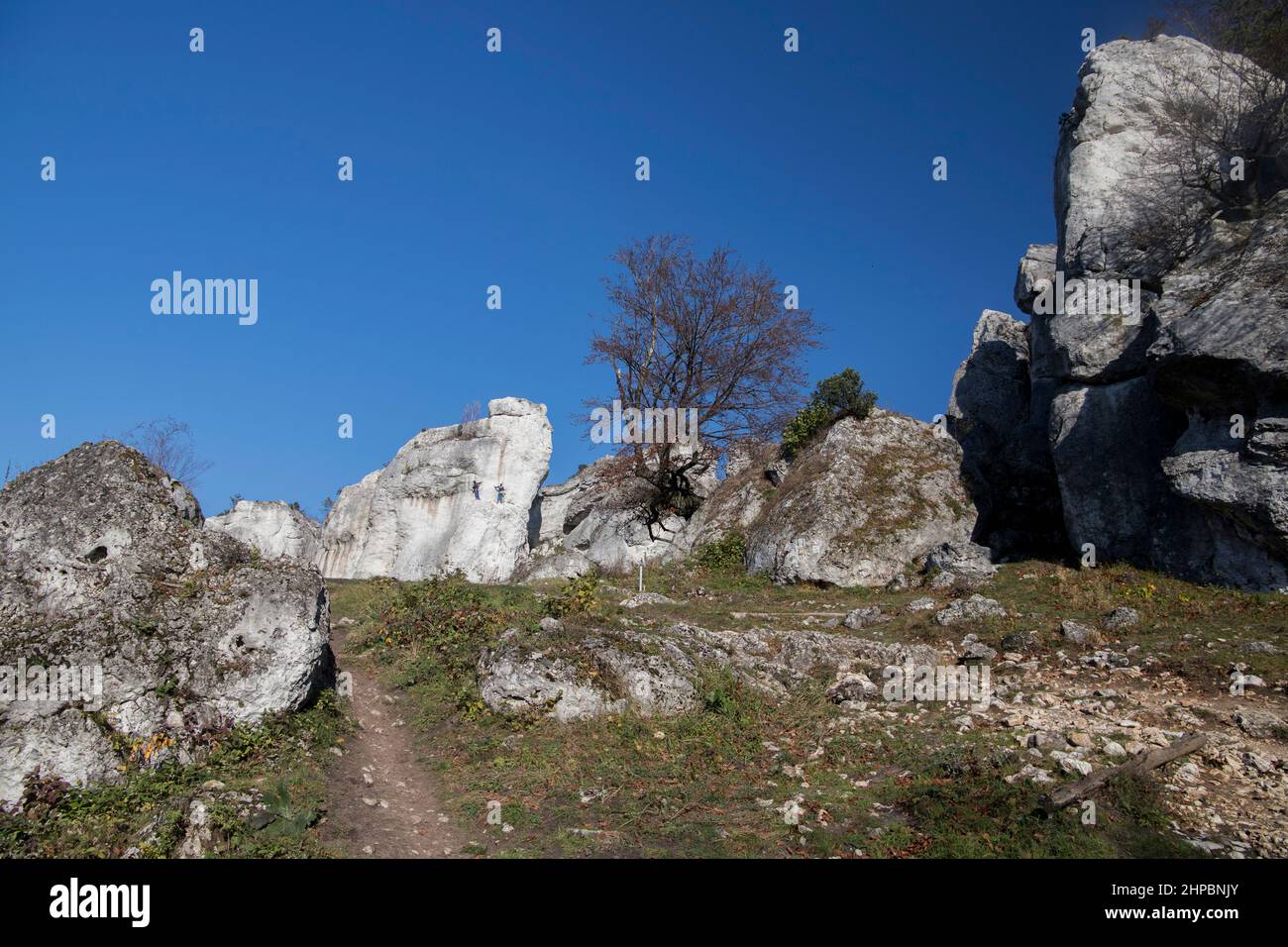 Kalkstein in Podlesice, Woiwodschaft Schlesien, Polen. Hochland Krakau-Tschenstochau. Stockfoto