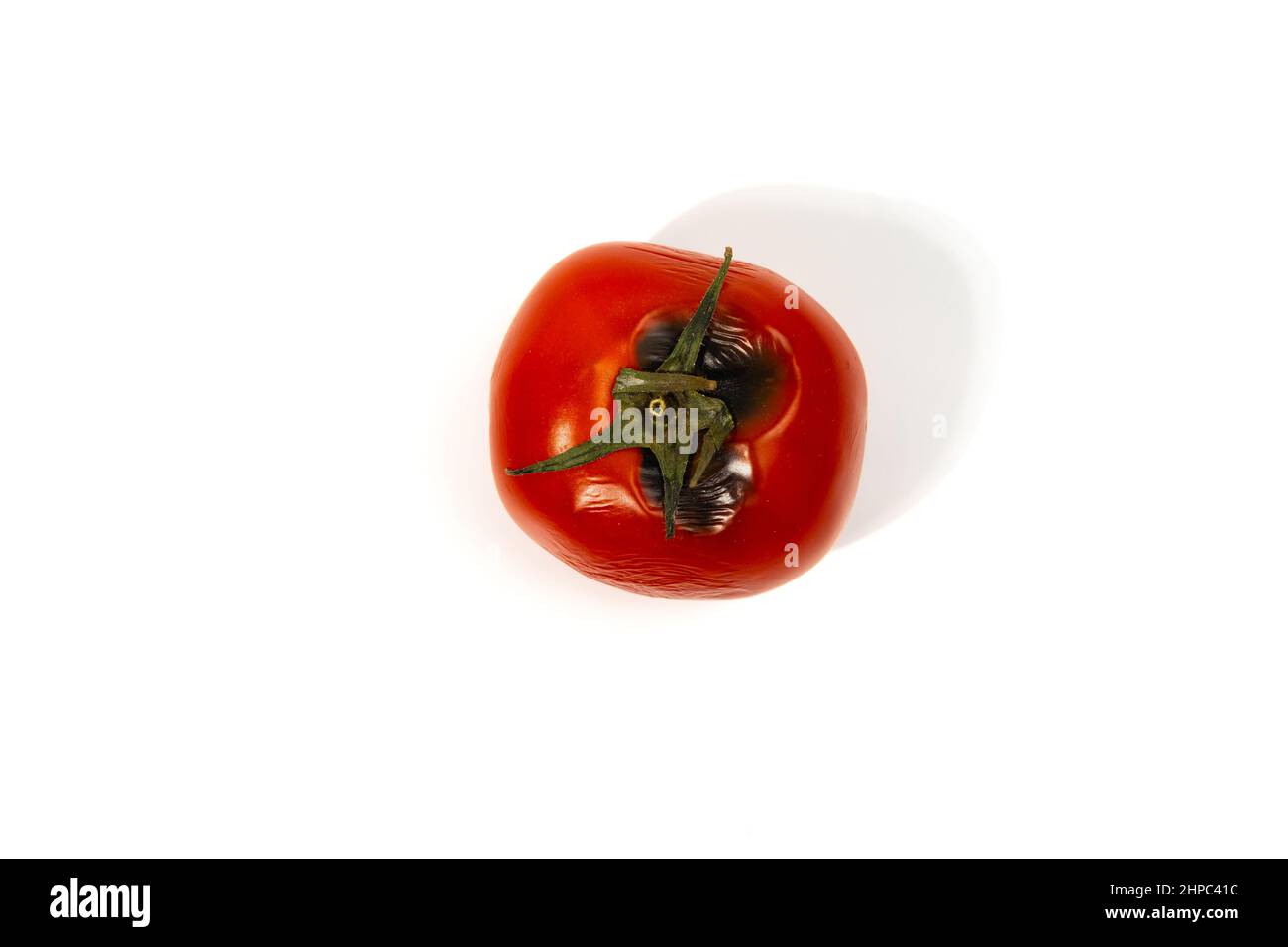 Faule Tomaten isoliert auf weißem Hintergrund Stockfoto