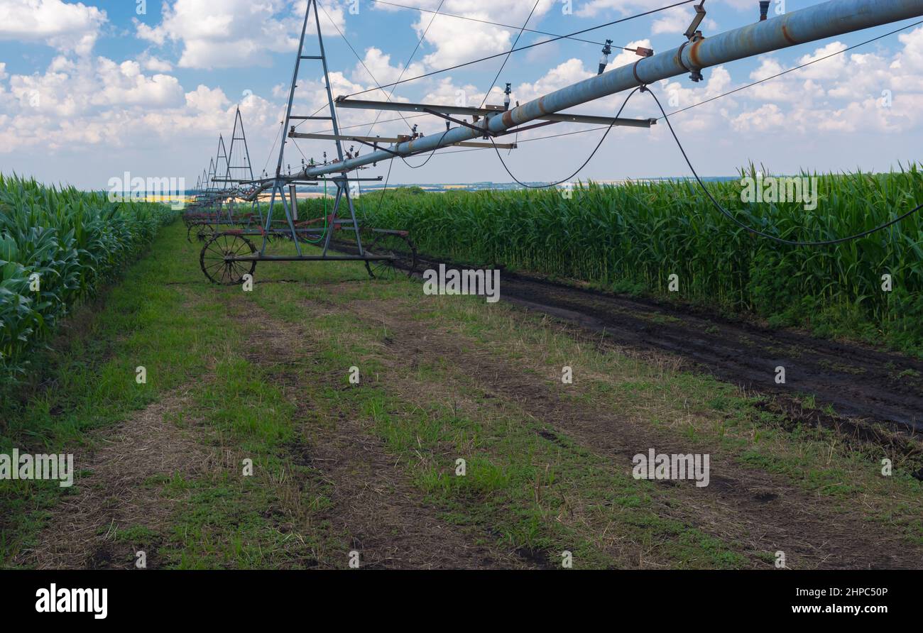 Landwirtschaftliche Landschaft mit Bewässerungssystem im Maisfeld in der Sommersaison in der Ukraine Stockfoto